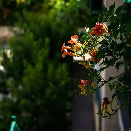 公寓 Kronja Grebaštica