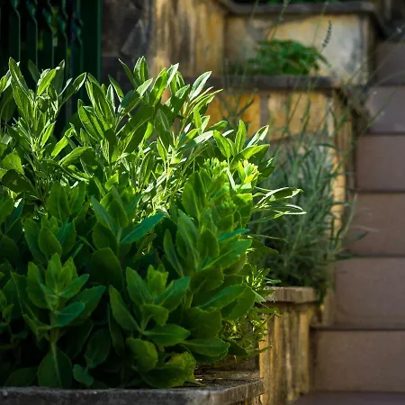 Kronja * Grebaštica