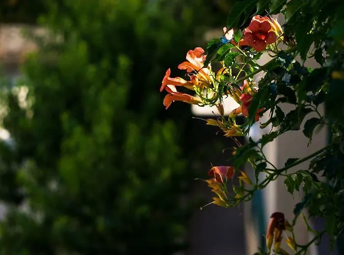 Apartamento Kronja Grebaštica