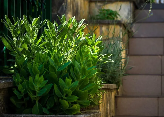 Kronja * Grebaštica